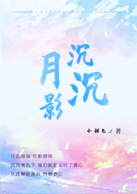 月影风荷电视剧